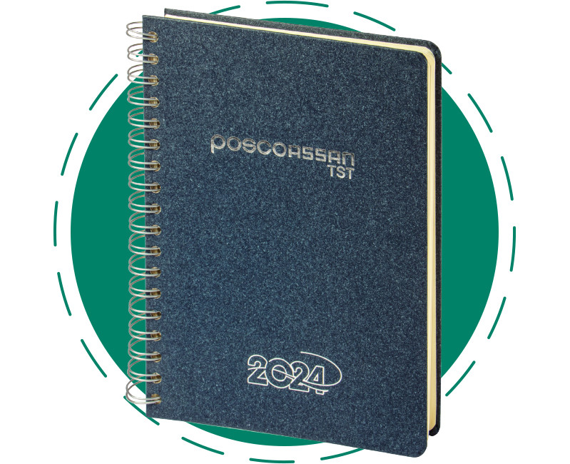 Dival Ajanda | Erguvan